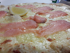 Salmon